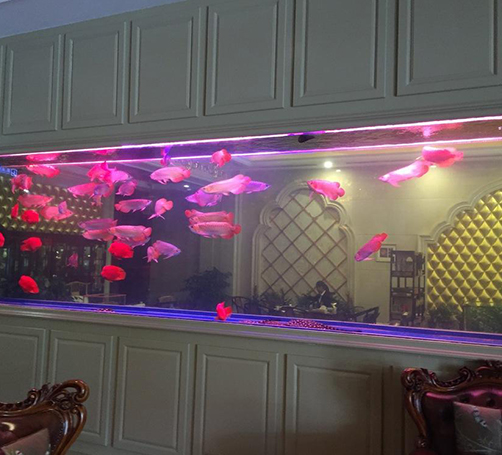 武漢豪華魚缸定做案例